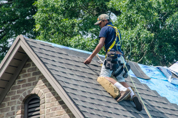 Best Roof Gutter Cleaning  in Jacksonville, NC